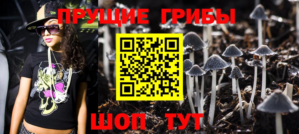 Архангельск  Псилоцибиновые грибы Psilocybine cubensis  Вход с VPN 