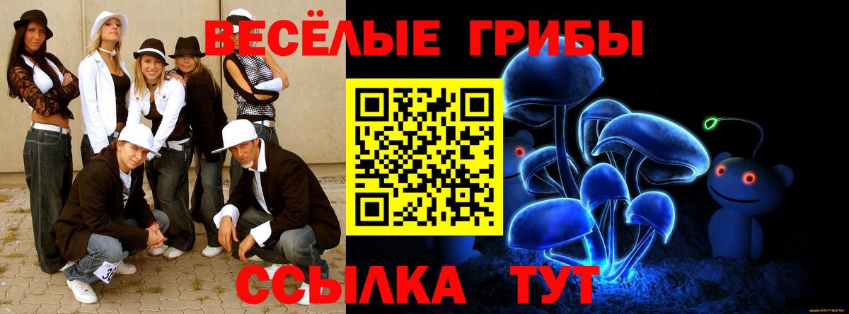 Псилоцибиновые грибы Cubensis Архангельск